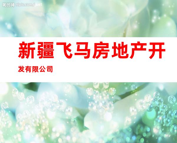 新疆飞马房地产开发有限公司